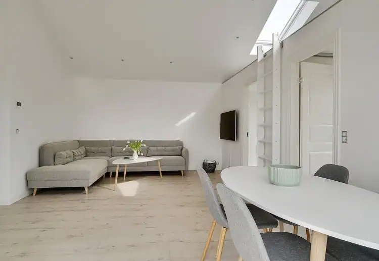 moderne stue-alrum i kollonihavehus på 60m2 med ovenlysvinduer